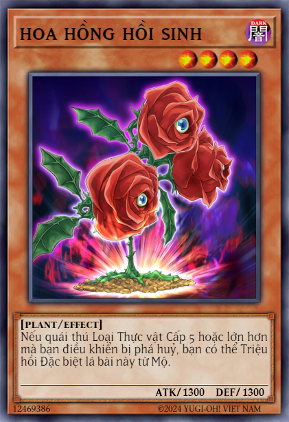 Revival Rose
