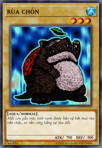 Turtle Raccoon