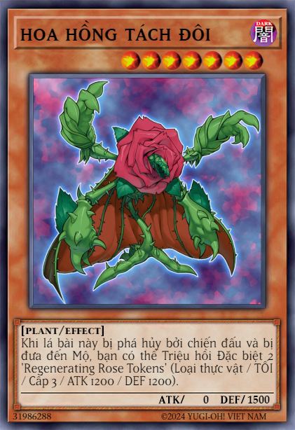 Regenerating Rose