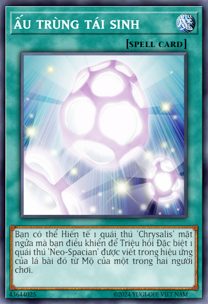 Cocoon Rebirth