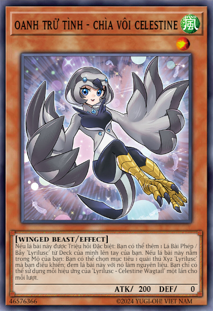 Lyrilusc - Celestine Wagtail