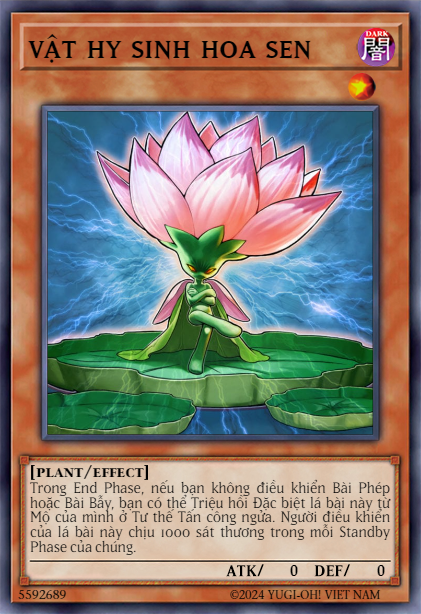 Samsara Lotus