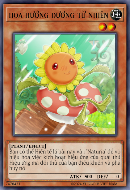 Naturia Sunflower