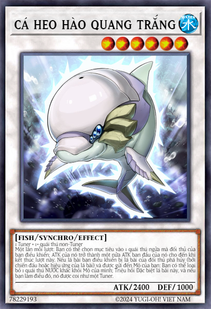 White Aura Dolphin