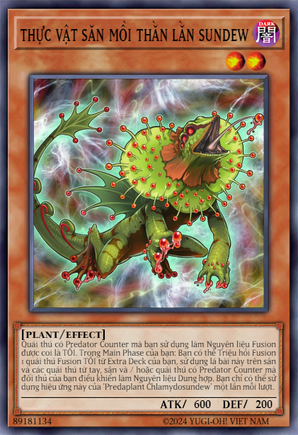 Predaplant Chlamydosundew