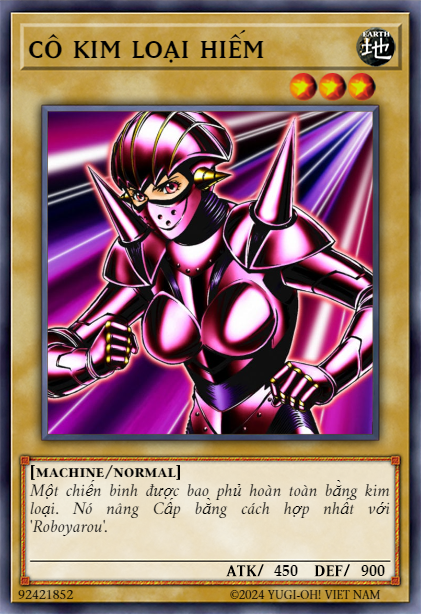 Robolady