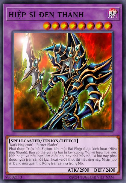 Dark Paladin